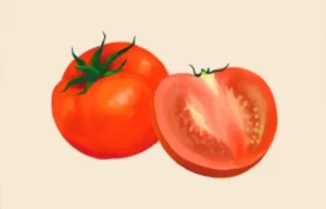 洋菓子店ローズ：材料059「トマト」B