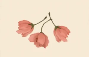 洋菓子店ローズ：材料109「桜」B