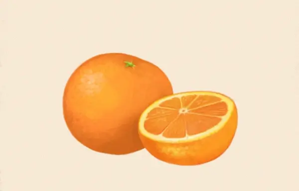 洋菓子店ローズ：材料073「オレンジ」B