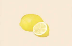洋菓子店ローズ：材料077「レモン」B