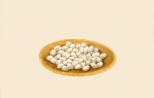 洋菓子店ローズ：材料「白いんげん豆」